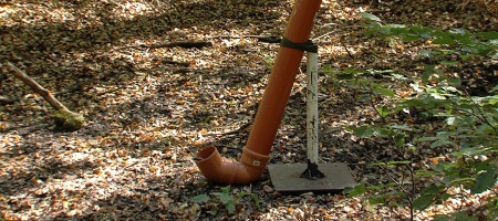 Wildtr&auml;nke im Wald