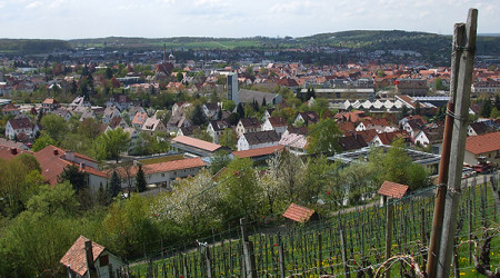 Metzingen: Blick vom Weinberg
