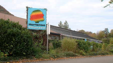 Die Baumschule Hortense schließt