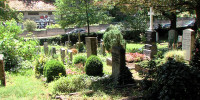 Friedhof in Tübingen