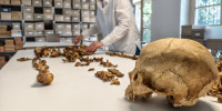 Anthropologische Untersuchung eines Skeletts vom fr&uuml;hmittelalterlichen Fundplatz Altheim bei Landshut an der Staatsammlung f&uuml;r Anthropologie M&uuml;nchen (SAM)