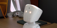 Dieser kleine Roboter ist ein Avatar