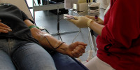 Blut wird gespendet