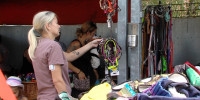 Riesenflohmarkt im Tierheim Reutlingen