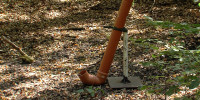 Wildtr&auml;nke im Wald