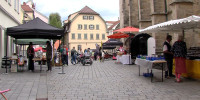 Erlebnismarkt Apfelernte Reutlingen