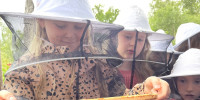 Kind und Bienenwaben