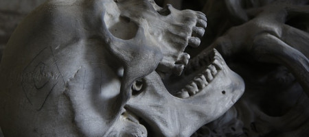 Schädel Homo Sapiens Sapiens (Jetztmensch)