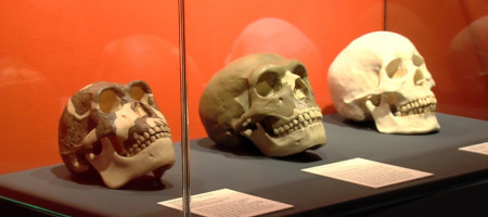 Sonderausstellung die Macht des Feuers