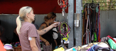 Riesenflohmarkt im Tierheim Reutlingen