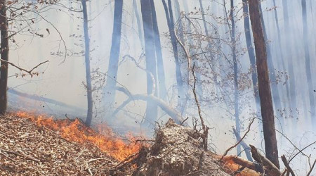 Waldbrand Urach Kunstm&uuml;hlefels