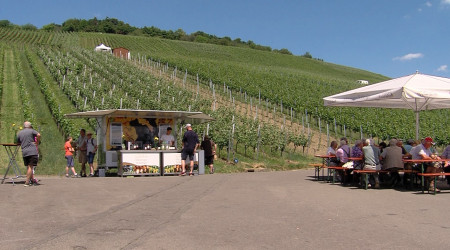 Albgemacht Genusswanderung