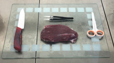 Aus Schlachtabf&auml;llen werden im Labor Stammzellen isoliert, die als Grundlage f&uuml;r die Fleischz&uuml;chtung dienen