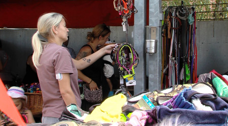 Riesenflohmarkt im Tierheim Reutlingen