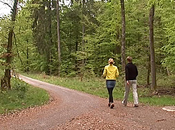 Naturpark Schönbuch