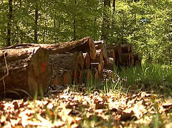 Naturpark Schönbuch