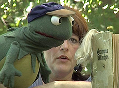 Harry, der Froschkönig