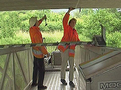 Brückenkontrolleure bei der Arbeit