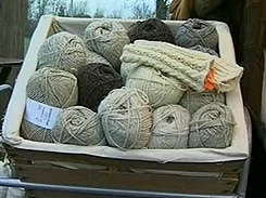 Wolle auf der Slow Schaf