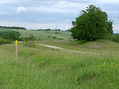 Biospärengebiet Schwäbische Alb