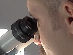 Forscher am Mikroskop