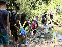 Gefangene Wassertiere